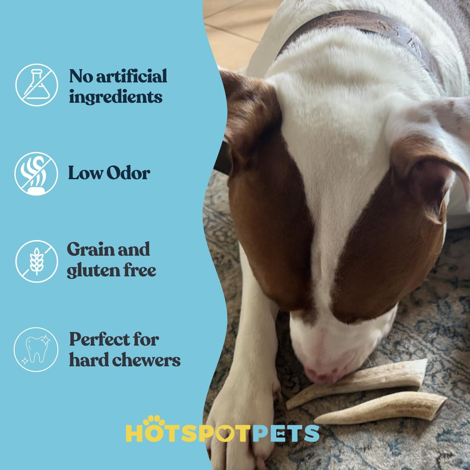 HotSpot Pets Premium Elk Horn Antlers Dog Chews, Odorless Rawhide Marrow, 7+ Inch Large, 2 Pack