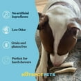 thumbnail image 4 of HotSpot Pets Premium Elk Horn Antlers Dog Chews, Odorless Rawhide Marrow, 7+ Inch Large, 2 Pack, 4 of 9