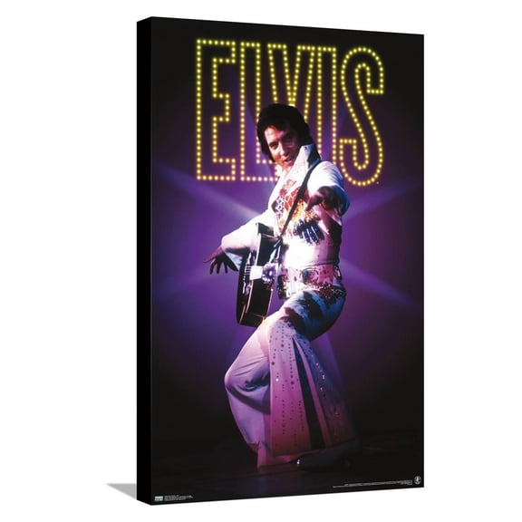 Elvis Presley - Suit Canvas Wall Poster, 14.725" x 22.375"