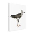 thumbnail image 2 of Trademark Fine Art 'Sea Bird Iii' Canvas Art by Grace Popp, 2 of 3