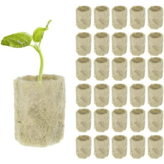 BIOMAND 1.2” Rockwool Starter Plugs for Hydroponics, Rockwool Grow Cubes, 3  Sheets of 36 Plugs, 108 Plugs Total