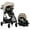 Costal Coffee, variant on Evenflo Omni Signature Travel System with LiteMax infant Car Seat (Porto Black)