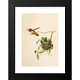 thumbnail image 2 of Robert Ridgway 11x14 Black Modern Framed Museum Art Print Titled - The North American Vogelwelt Pl36 (1891), 2 of 5