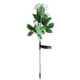 thumbnail image 1 of Garden Stake Light Decorative LED Stake Light Landscape Light for Outdoor, 1 of 10