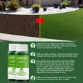 thumbnail image 4 of Cadorn 2 - Pack Rejuvenation Liquid Spray for Garden Restoration – 118ML Multicolor Formula for Restoring Dry Spots, 4 of 9
