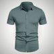 thumbnail image 1 of pstuiky camisetas de hombre, Camisa informal de negocios de color liso con solapa y botones de manga corta para hombre camisetas de hombre xl, 1 of 6