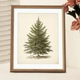 thumbnail image 4 of Christmas Wall Art Prints Vintage Christmas Decor Christmas Tree Pictures Pine Tree Botanical Winter Posters Xmas Canvas Painting for Bedroom Bathroom Living Room Office Decor (8" x 10"-Unframed), 4 of 6