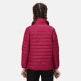 thumbnail image 2 of Regatta - Chaqueta Hillpack Acolchado para Niños/Niñas (Frambuesa Radiante), 2 of 6