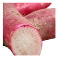 thumbnail image 3 of Rábano largo por kilo, 3 of 3