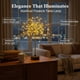 thumbnail image 4 of Nest and Flowers Table Lights Fireworks, 120 Mini Table Starburst Silver Lights, LED Christmas Starburst Firework Lamp for Dinner Indoor Christmas Party Decor (Warm*4), 4 of 7