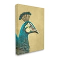 thumbnail image 4 of Stupell Industries Peacock Looking Right Animals & Insects Painting Gallery Wrapped Canvas Art Print Wall Art, 16 x 20, 4 of 8