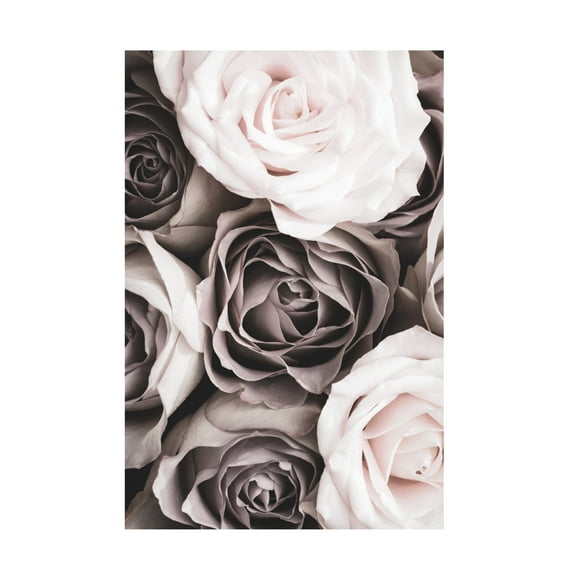 Trademark Fine Art Pictufy Studio Roses Canvas Wall Art