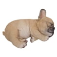 thumbnail image 2 of Figura Hi-Line Gift Ltd., cachorro de bulldog francés, 18 cm, para interiores, 2 of 6