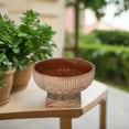 thumbnail image 4 of Savannah Terracotta Pot, 4 of 11