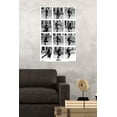 thumbnail image 2 of Monty Python - Grid Wall Poster, 22.375" x 34", 2 of 2