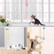 thumbnail image 5 of Juguete interactivo para gatos con resorte para jugar colgado de la pared, 5 of 7
