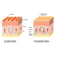thumbnail image 4 of Deep Anti Wrinkle Sssence For Women's, 4 of 5