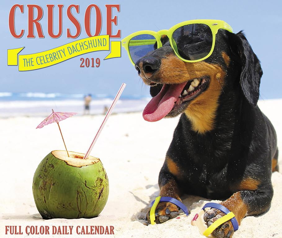 Crusoe the Celebrity Dachshund 2019 Box Calendar (Dog Breed Calendar