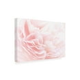 thumbnail image 2 of Trademark Fine Art 'Rose 2 Pink Floral' Canvas Art by PhotoINC Studio, 2 of 3