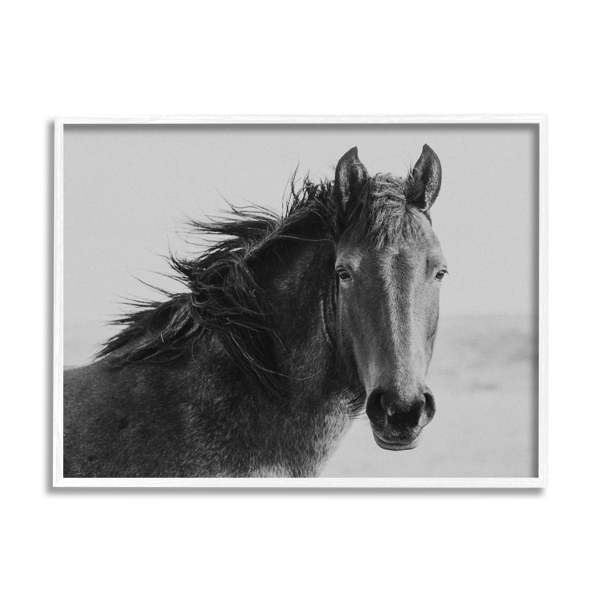 Stupell Industries Black Stallion Equestrian Portrait Vintage Horse Photography, 30 x 24,Design by Marika Moffit