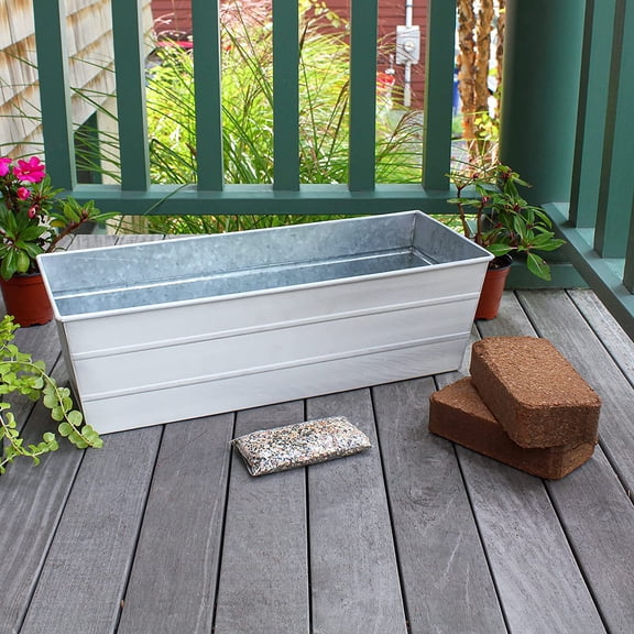 Bloom Box Garden Growing Kit Medium White