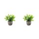thumbnail image 3 of Inteprter Decoración artificial elegante de la planta en conserva fácil limpiar el árbol artificial del dinero en pote respetuoso del medio Type6 NO6, 3 of 6