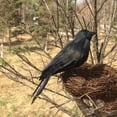 thumbnail image 4 of 1pcs Halloween Raven Crow Prop Spooky Black Feathered Lifelike Scary Crow Halloween Garden Decor, 4 of 6