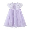 thumbnail image 3 of LOVZFMLL Girls' Summer Short Sleeve Ruffled Lace Round-Neck Embroidery Mesh Princess Bow Skirt, 3 of 8