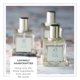 thumbnail image 5 of Zents Eau De Parfum (Tierra) para mujer y hombre | Fragancia limpia y duradera con sándalo, abeto y bergamota | Aroma amaderado y fresco | 50 ml, 5 of 5