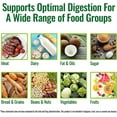 thumbnail image 5 of NATURELO Digestive Enzymes - Full Spectrum Support with a Broad Blend of 15 Enzymes Plus Ginger - 90 Vegan Capsules, 5 of 9