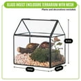 thumbnail image 2 of NCYP Small Glass Terrarium with Lid and Mesh Vents, for Garden Plants, Succulents, Snails, 2 of 10