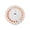 Orange3, variant on QueMer Premiums Floating Fly Line Fly Fishing Line For Flys Anglers In Europe North Americans Fishing