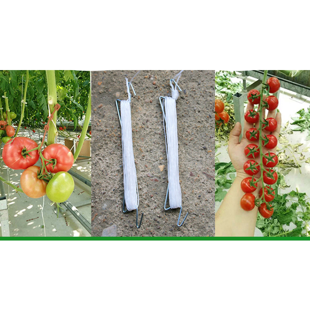 Tomato Support J Hook Tomato Plant Holder Binder Vegetables Clamp Anti