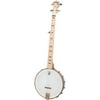 Deering Goodtime Banjo