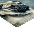 thumbnail image 2 of Ambesonne Funny Fitted Sheet, Don't Wanna Take a Shower Pug, Twin Size, Blue Grey and Ivory, 2 of 3