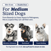 MidWest Homes for Pets 30-inch Two-Door iCrate Folding Dog Crate with Divider Panel, Leak-Proof Tray & Secure Latches