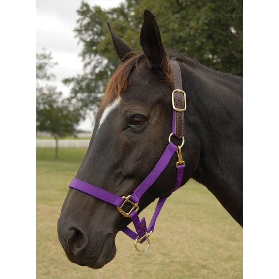 Breakaway Halter - Horse Colors: Red