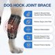 thumbnail image 2 of Dog Hind Leg Brace: Hock & Ankle Support for Torn ACL & CCL, Canine Rear Leg Joint Compression Wrap - Injury Protection, Arthritis Relief, Wound Care, 2 of 5