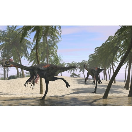 Pepe Jeans Running Jeans Two Gigantoraptors running Canvas Art - Kostyantyn IvanyshenStocktrek Images (36 x 22) ()