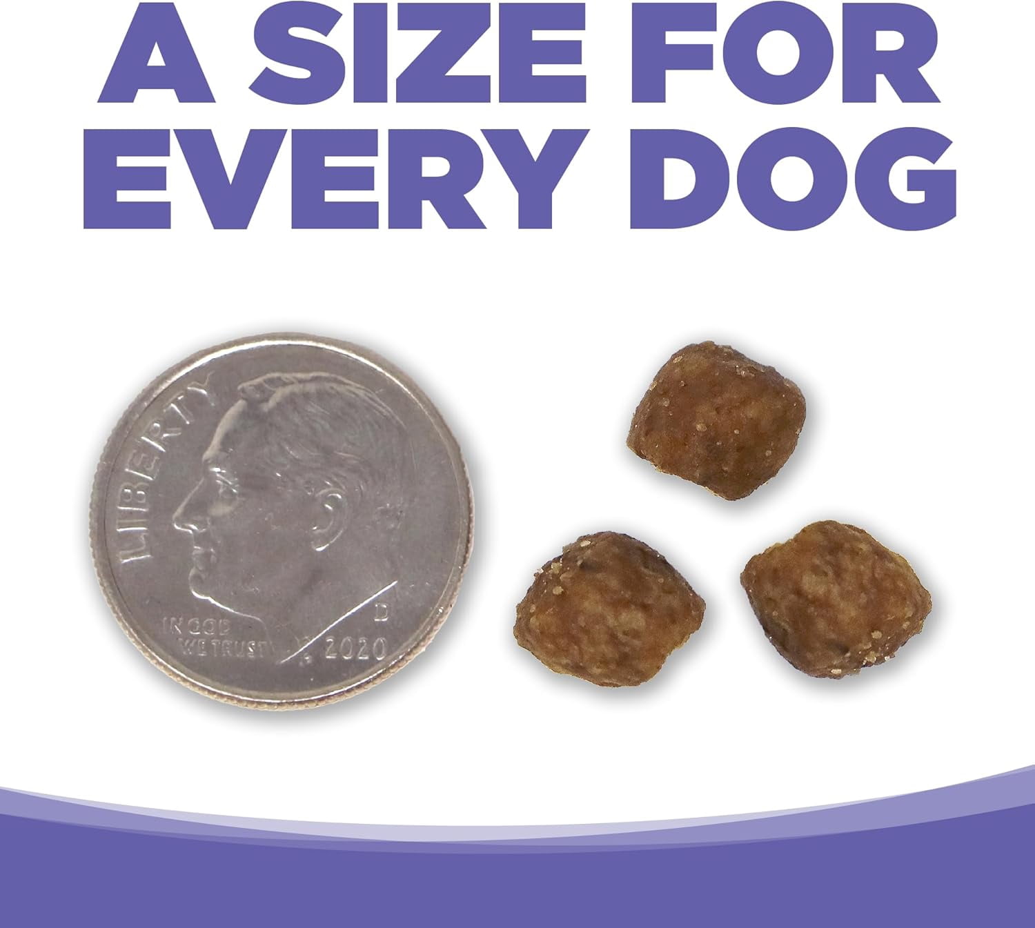NutriSource Small & Medium Breed Puppy Chicken Meal & Rice Recipe Dog Food 4 lb