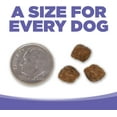 thumbnail image 5 of NutriSource Small & Medium Breed Puppy Chicken Meal & Rice Recipe Dog Food 4 lb, 5 of 8