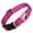 C, variant on Secure and Reflective Dog Collar with Integrated Locator Protective Cover for Enhanced Pet and Visibility