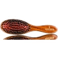 thumbnail image 1 of Spornette Styling Brush The Porcupine Cushion- #25 - Pack of 6 with Sleek Comb, 1 of 1