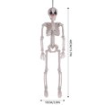 thumbnail image 3 of RnemiTe-amo Halloween Skeleton Decorations,Full Body Poseable Small Skeleton Plastic Bones with Movable Posable Joints for Halloween Indoor Outdoor Party, Graveyard, Haunted House Accessories, 3 of 5