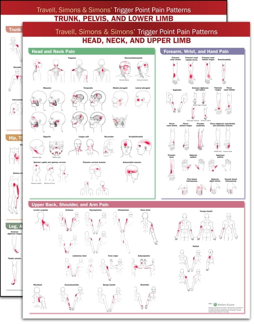 travell and simons trigger point poster travell and simons trigger point poster