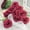 Red, variant on Realistic Deep Red Artificial Rose with Stem for Weddings, Parties, and Home Decor