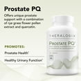thumbnail image 3 of Theralogix Prostate PQ - Rye Grass Pollen Extract & Quercetin Supplement - 90-Day Supply - Antioxidant Support for Prostate & Pelvic Health & Urinary Tract Function* - NSF Certified - 180 Tablets, 3 of 7