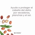 thumbnail image 3 of Dr.Natural Shampoo Aceite de Argán. 473 ml. 100% Hecho de Plantas y Aceites Naturales.  Nutre, Repara e Hidrata todo tipo de cabello., 3 of 7