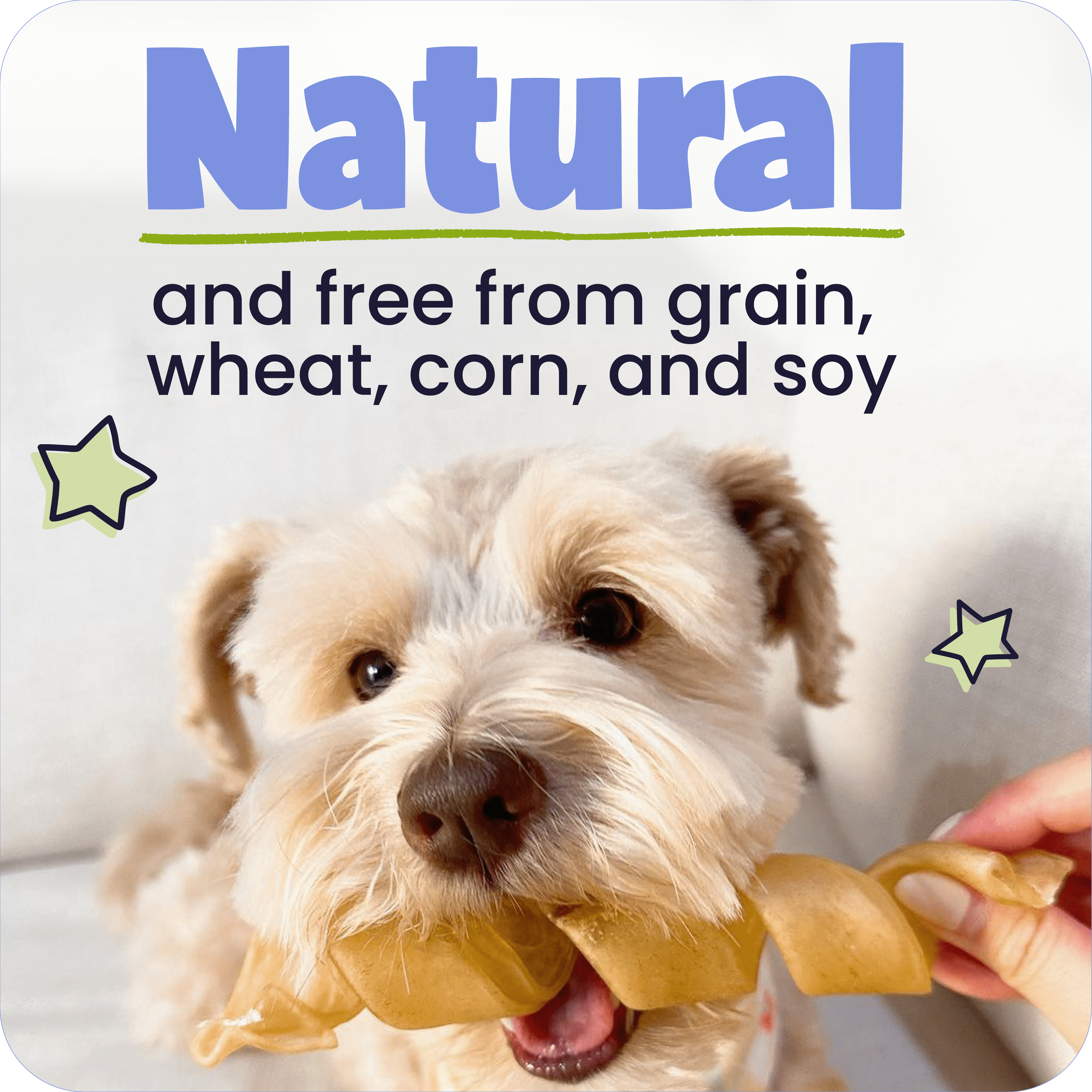 Pawstruck Natural Large 12" Beef Collagen Chew Sticks - 5 Count