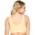 thumbnail image 3 of Felina | Organic Cotton Bralette 3 Pack | Super Soft & From Plant-Based Dyes (Tuscan Sun, X-Large), 3 of 3